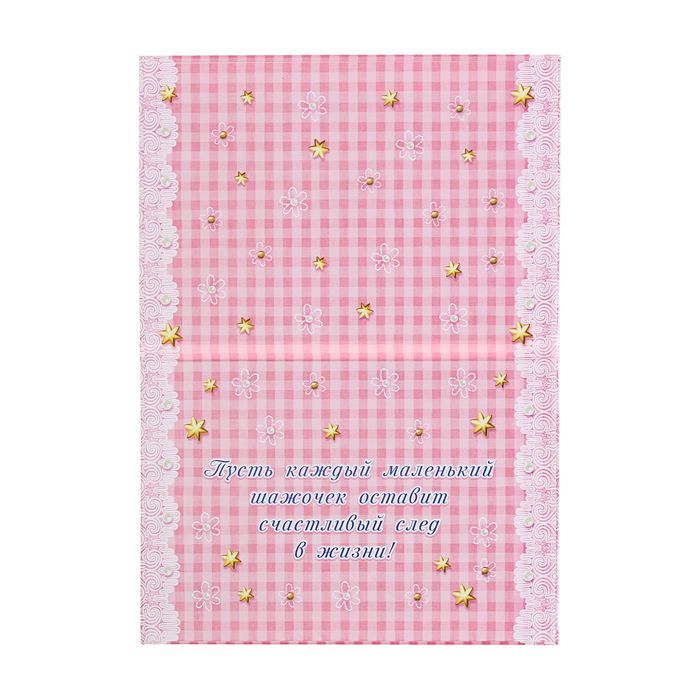 Папка под свидетельство "О рождении малышки"