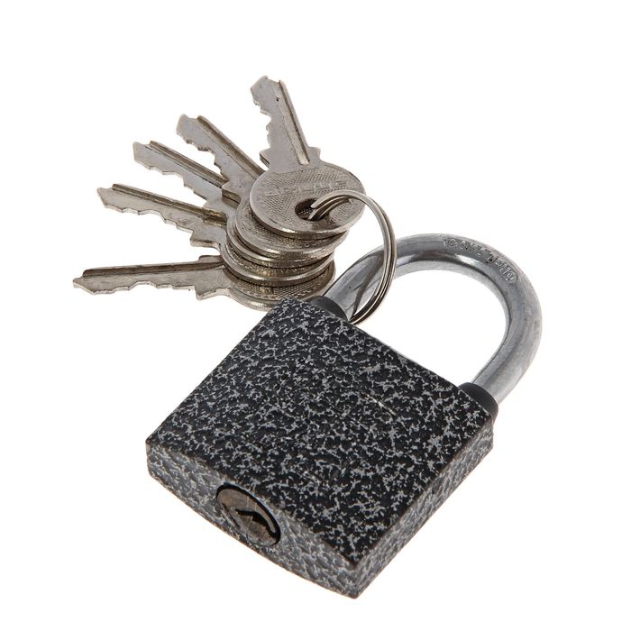 Замок навесной "АЛЛЮР" ВС1Ч-340, дужка d=5 мм, полимер, 5 ключей