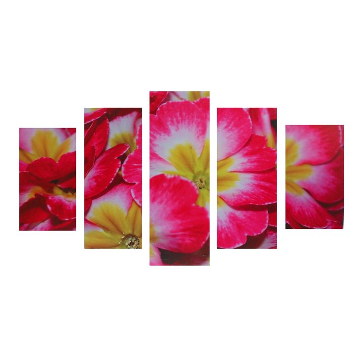 Модульная картина на подрамнике "Цветы", 2 — 43×25, 2 — 58×25, 1 — 72×25 см, 75×135 см