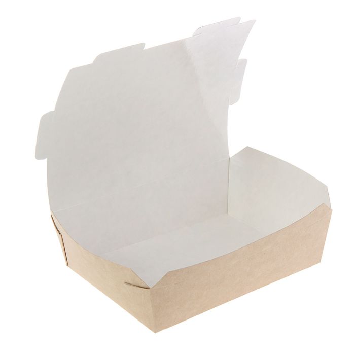 Упаковка для продуктов, ланч-бокс 19 х 15 х 5 см, 1 л