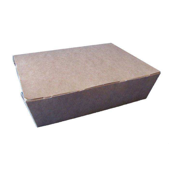 Упаковка для продуктов, ланч-бокс 19 х 15 х 5 см, 1 л