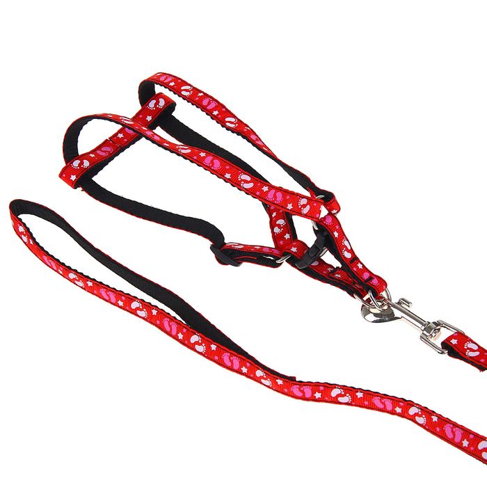 Комплект шириной 1 см со шлейкой 20-35 см, поводок 120 см, непрошитый, красно-черный