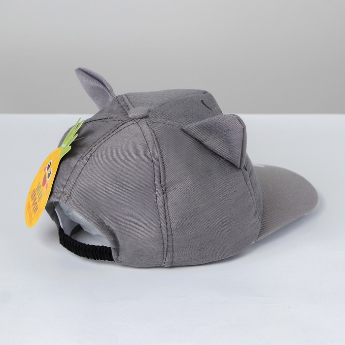 Кепка детская "Котик", р-р. 44-48, 2-3 года