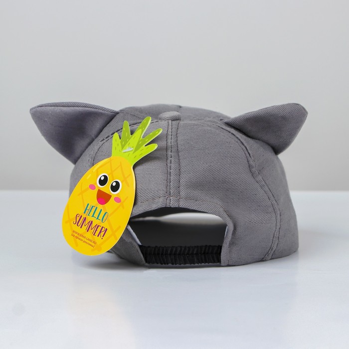 Кепка детская "Котик", р-р. 44-48, 2-3 года