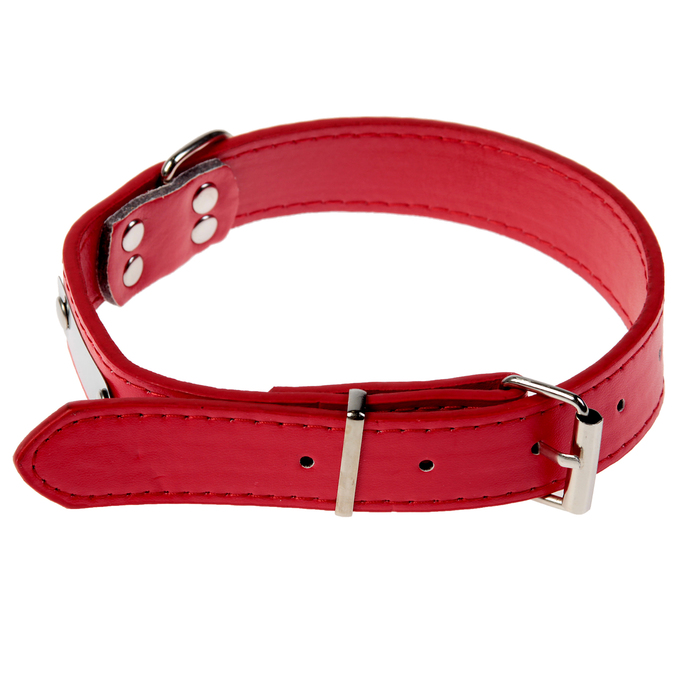 Ошейник из искусственной кожи с шильдом под гравировку, 53 х 2,5 см, красный