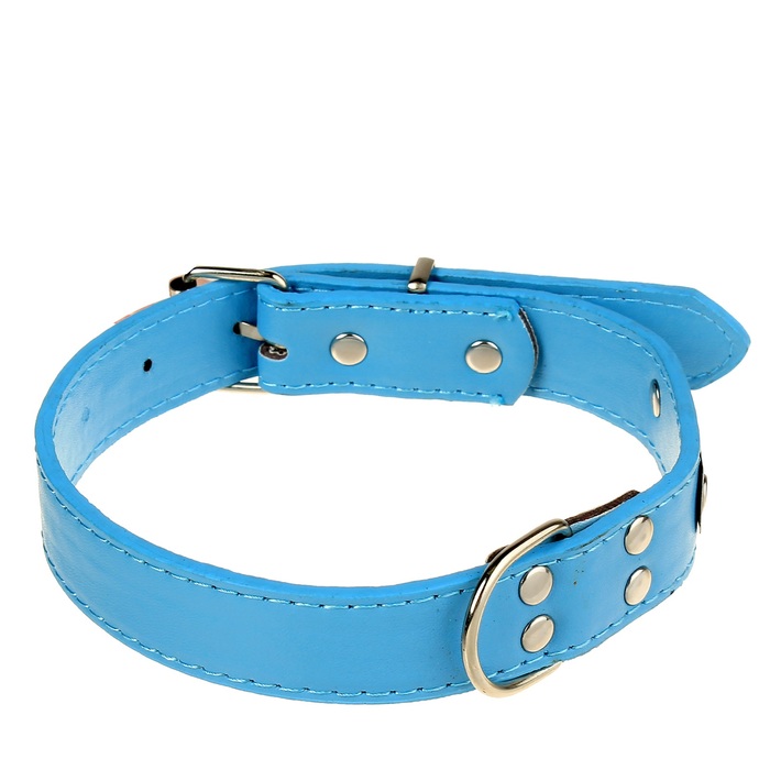 Ошейник из искусственной кожи с шильдом под гравировку, 53 х 2,5 см, голубой