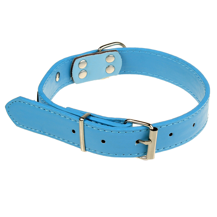 Ошейник из искусственной кожи с шильдом под гравировку, 53 х 2,5 см, голубой