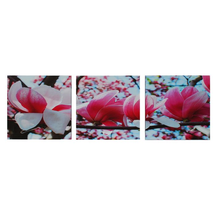 Модульная картина на подрамнике "Розовые бутоны", 3 шт. — 30×30 см, 100×40 см