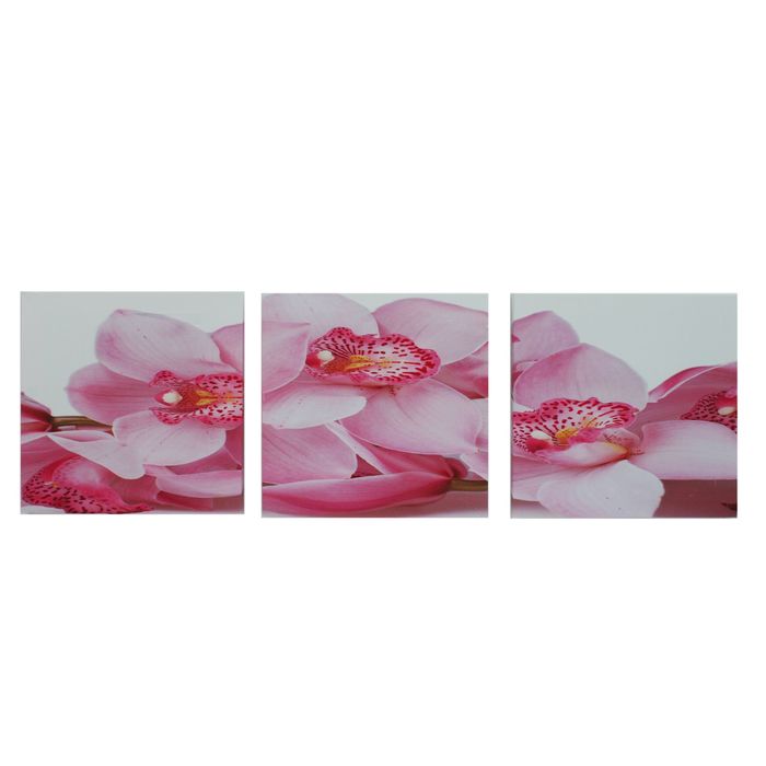 Модульная картина на подрамнике "Розовые орхидеи", 3 шт. — 30×30 см, 100×40 см