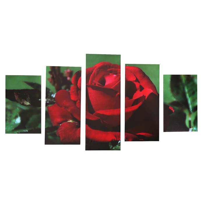Модульная картина на подрамнике "Роскошная роза", 2 — 43×25, 2 — 58×25, 1 — 72×25 см, 72×125 см