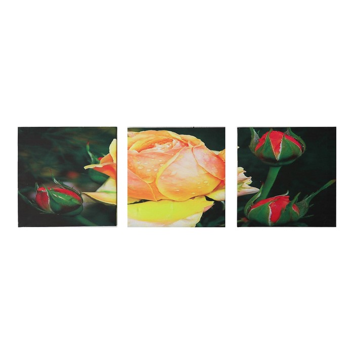 Модульная картина на подрамнике "Роза", 3 шт. — 30×30 см, 100×40 см
