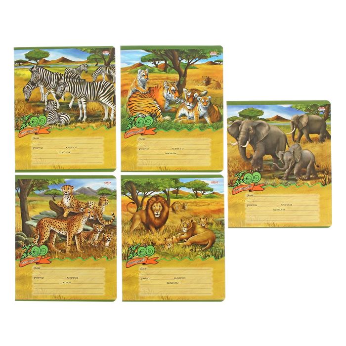 Тетрадь 12 листов клетка "Семья животных", картонная обложка, МИКС