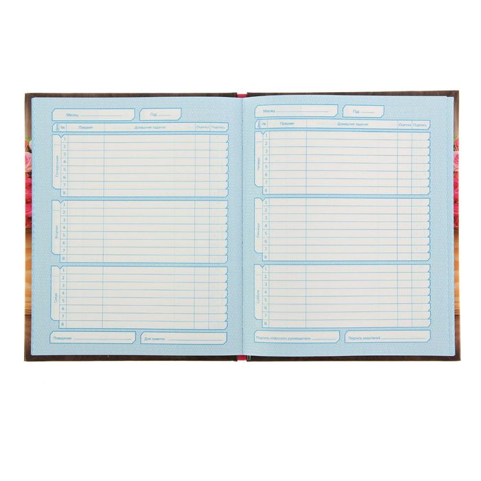 Дневник для 5-11 класса "Мишка", твердая обложка, глянцевая ламинация, 48л