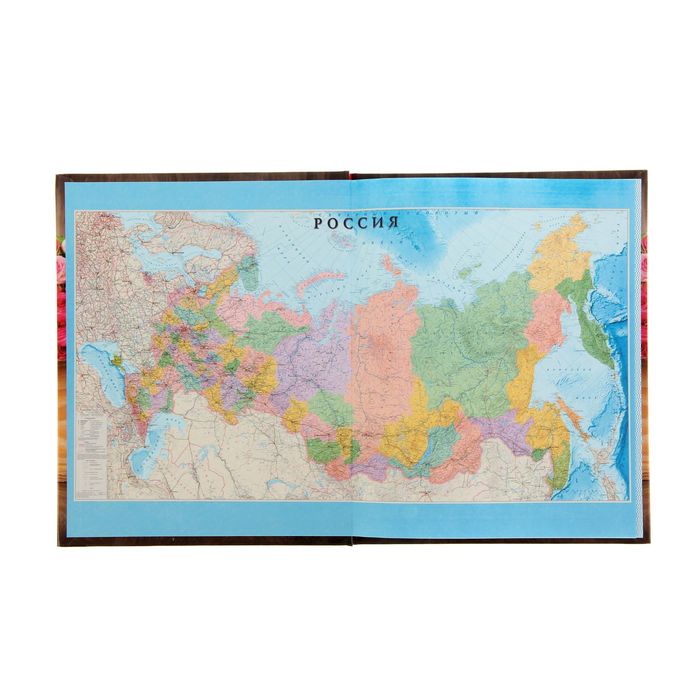 Дневник для 5-11 класса "Мишка", твердая обложка, глянцевая ламинация, 48л