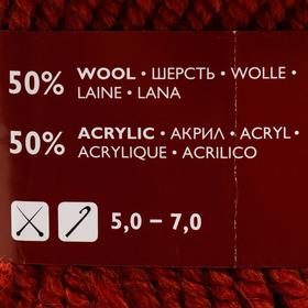 

Пряжа Arina (АринаПШ) 50% шерсть, 50% акрил 123м/100гр (70015 террак_V2 )