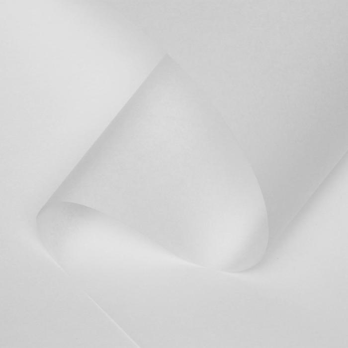 Бумага тишью "Белая", 50 х 76 см, 24 шт.