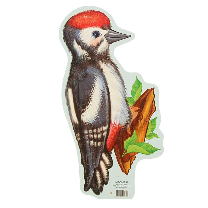 Плакат фигурный "Птица Дятел" А4