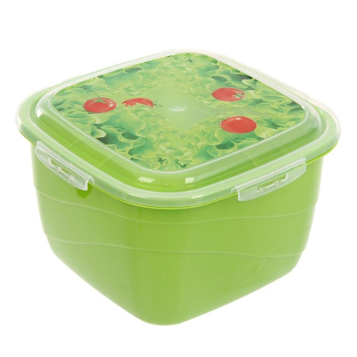 Контейнер пищевой 3 л Click&Lock, цвет МИКС