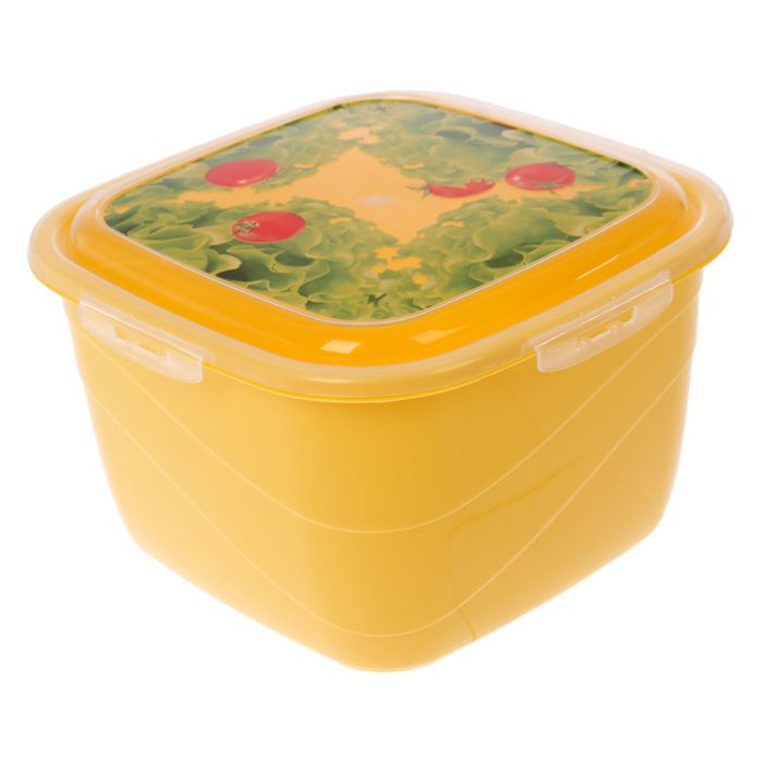 Контейнер пищевой 3 л Click&Lock, цвет МИКС