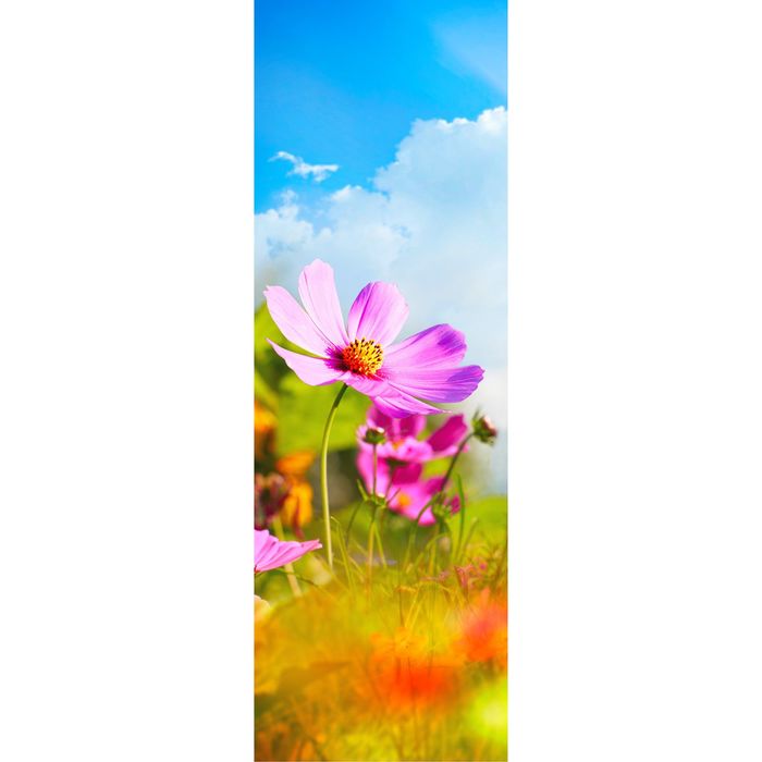 Фотообои "Цветочное поле", 0,9х2,7 м