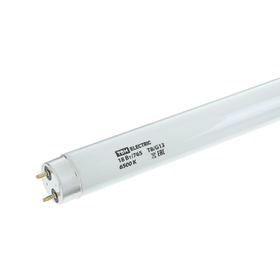 

Лампа люминесцентная TDM, G13, 18 Вт, 6500 К, 604х26 мм, двухцокольная, линейная