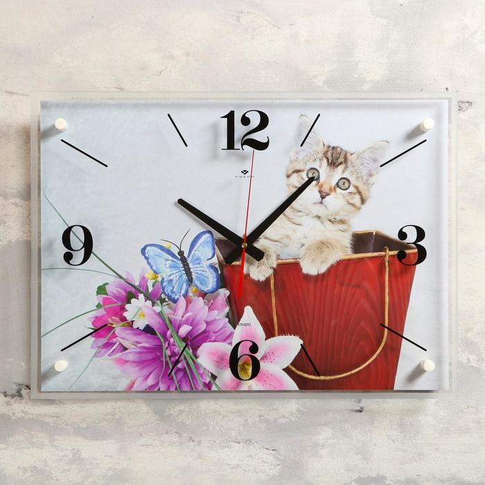 Часы настенные прямоугольные "Котенок", 40х56 см микс