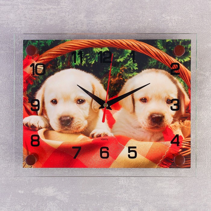 Часы настенные прямоугольные "Щенята", 20х26 см микс