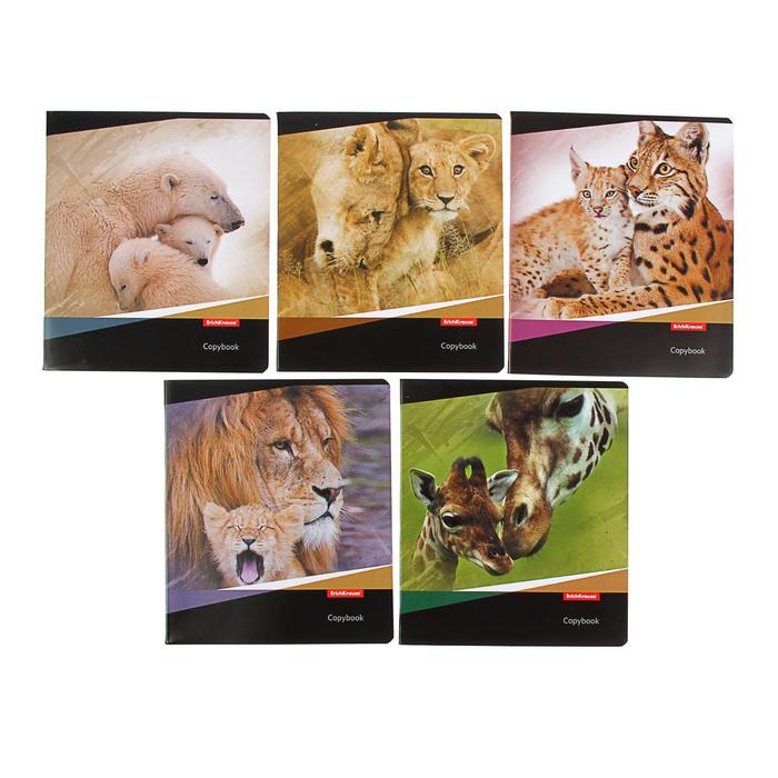 Тетрадь 48 листов клетка "Идиллия", картонная обложка, микс