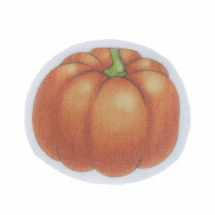 Набор дидактический из ткани "Овощи" на магните, 10 шт.