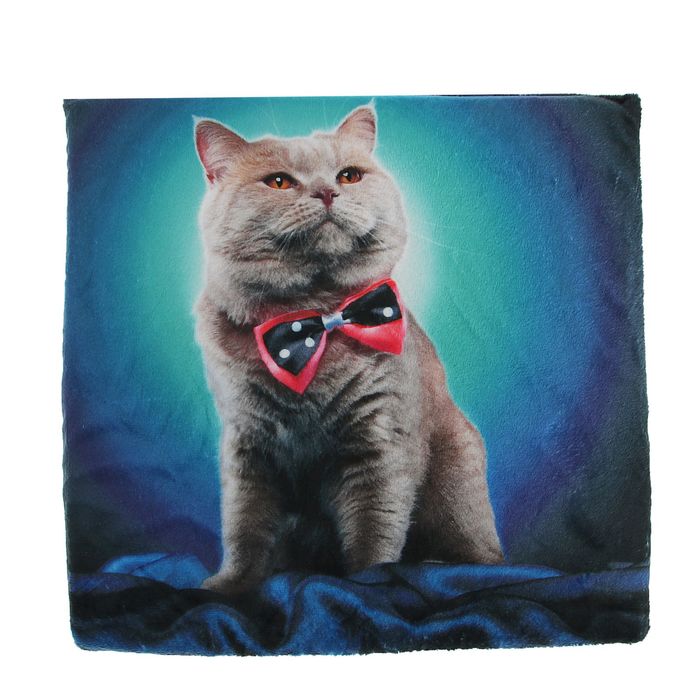 Домик-вигвам "Кот с бабочкой", 40 х 40 х 39 см