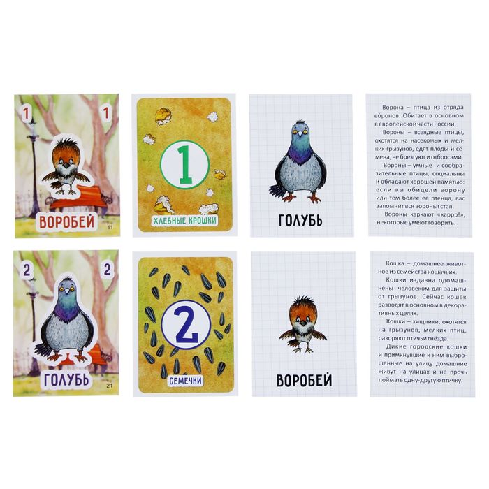 Настольная игра «Птичий пир»