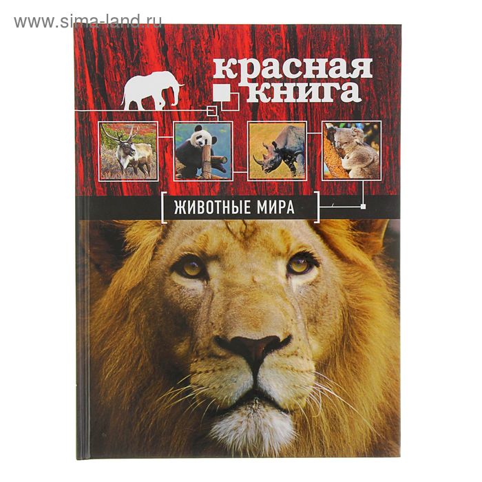 Красная книга «Животные мира». Скалдина О. В., Слиж Е. А. скалдина о слиж е большая красная книга стерео варио
