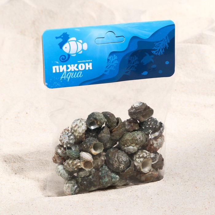 Набор ракушек, внутри перламутр, 100 гр