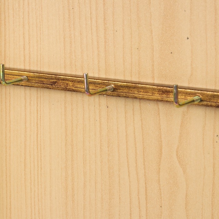 Ключница Эконом "Фрукты"