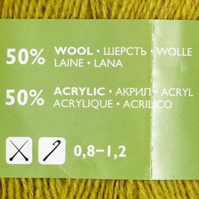 

Пряжа A-elita (Аэлита) 50% шерсть, 50% акрил 781м/100гр (345 липа)
