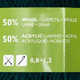 

Пряжа A-elita (Аэлита) 50% шерсть, 50% акрил 781м/100гр (39 изумруд)