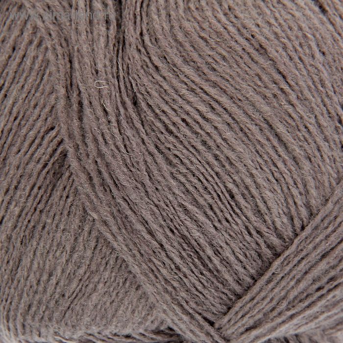 

Пряжа A-elita (Аэлита) 50% шерсть, 50% акрил 781м/100гр (4012 имбирь)