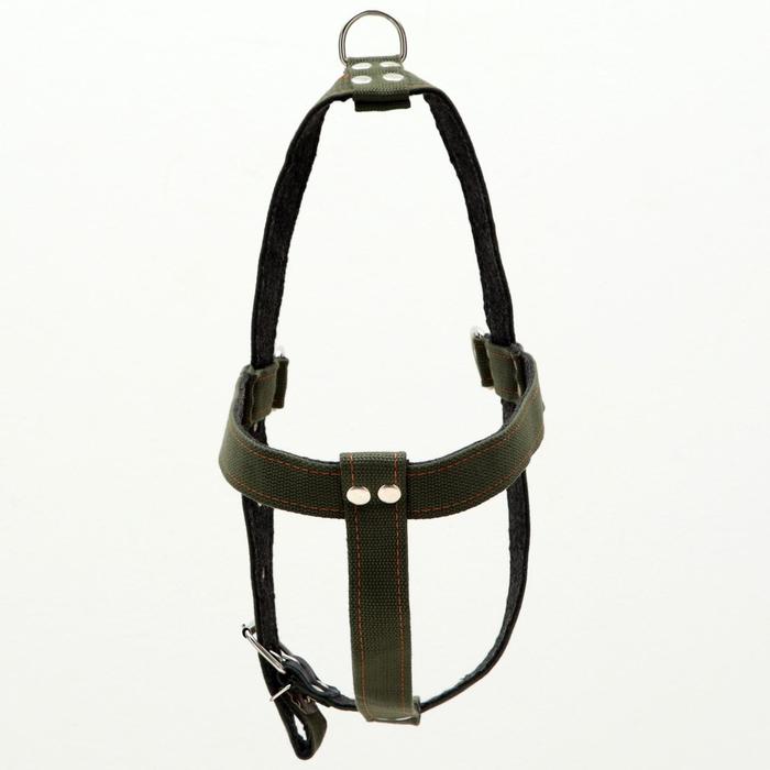 Шлейка брезентовая на фетре, регулируемая многоразмерная, обхват шеи 100 см, обхват груди 82-104, ширина 3,5 см