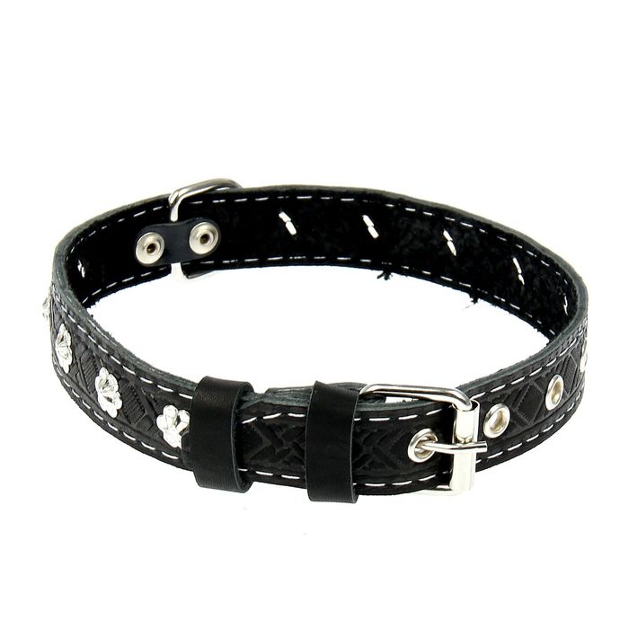 Ошейник кожаный однослойный, украшенный, 56 х 2,5 см микс цветов