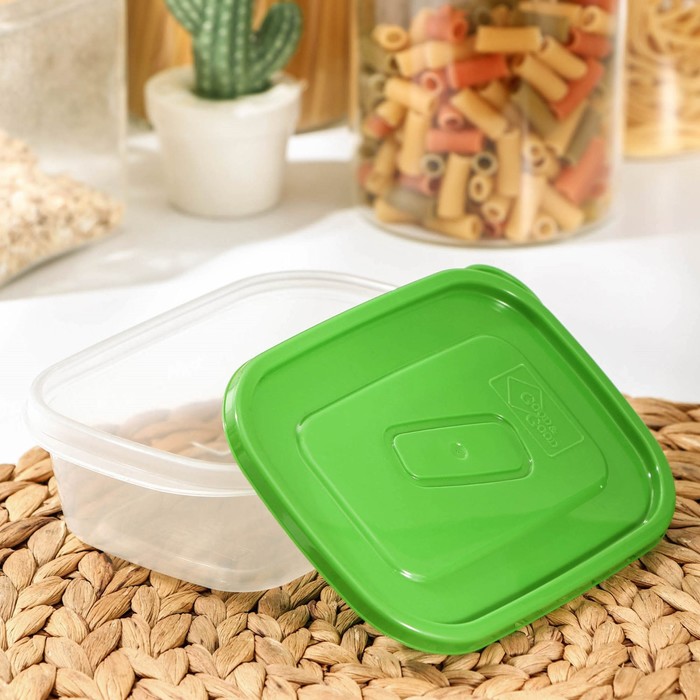 Набор контейнеров пищевых 500 мл, 2 шт, цвет МИКС