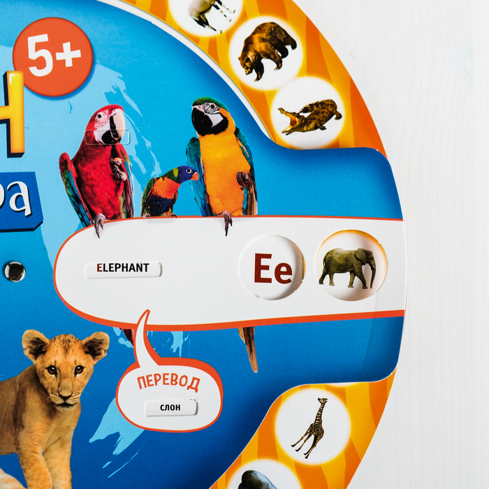 Игра интерактивная "Английский животные мира"