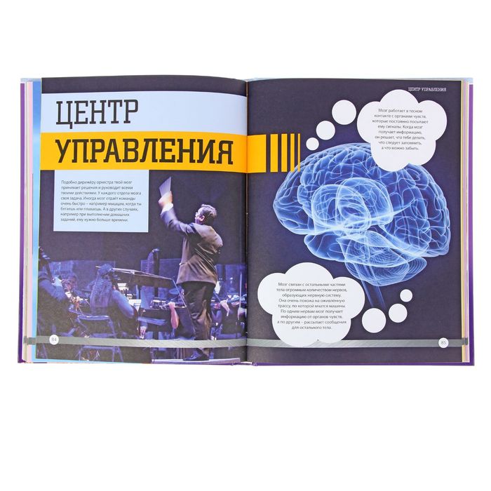 Энциклопедия для маленьких почемучек. Тело человека