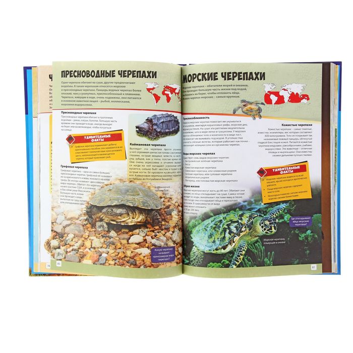 Энциклопедия для мальчиков и девочек. Животные