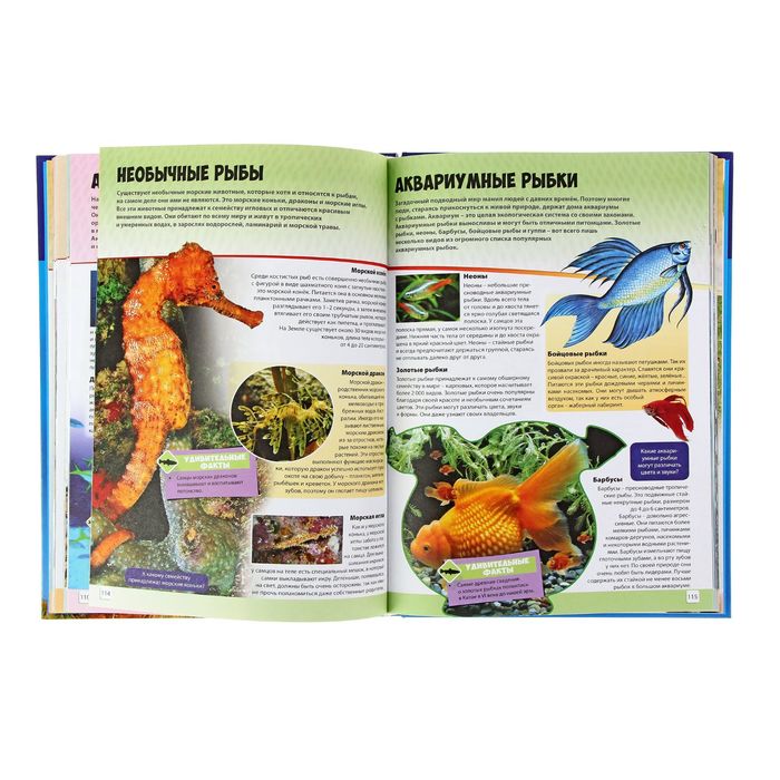 Энциклопедия для мальчиков и девочек. Животные