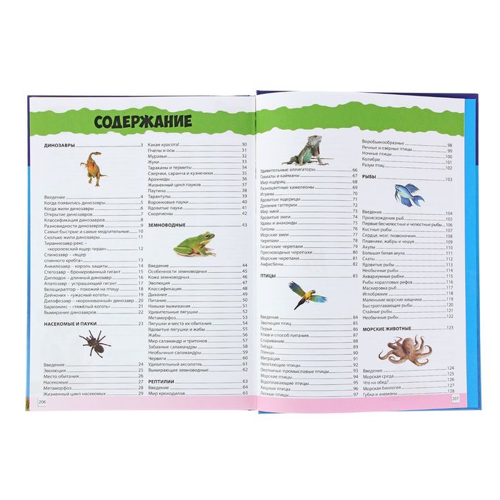 Энциклопедия для мальчиков и девочек. Животные