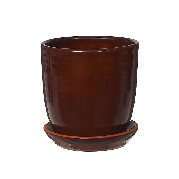 Кашпо "Кактус" микс