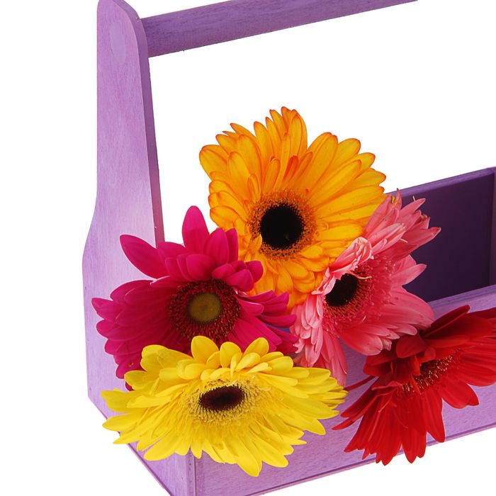 Кашпо флористичиское № 1, фиолетовое, 11х24х20см