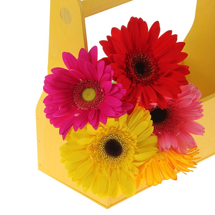 Кашпо флористическое № 1, жёлтое, 11х24х20см