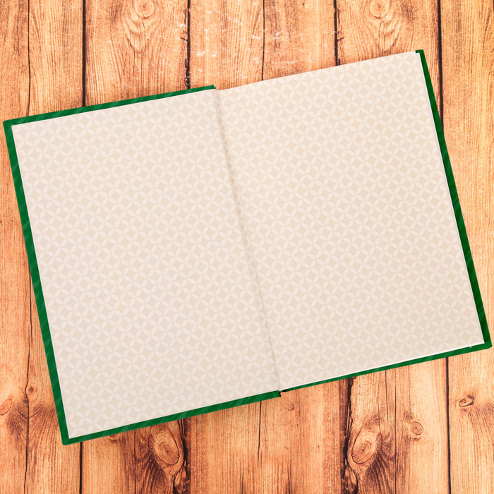 Ежедневник «Башкирия»