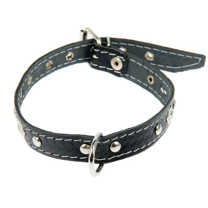 Ошейник кожаный однослойный, украшенный, 49,5 х 2 см микс цветов